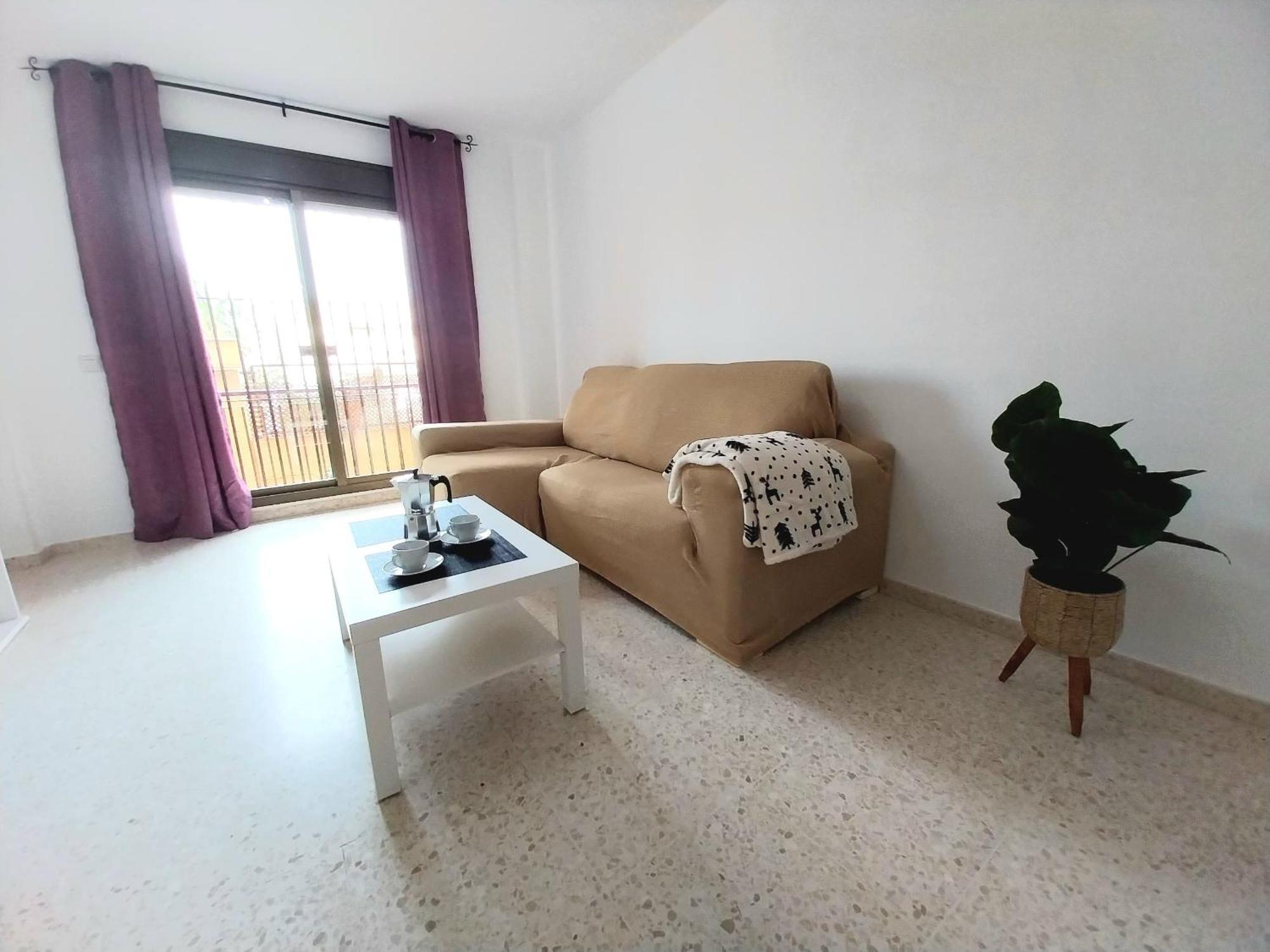 Top Suite Apartment Jerez Jardin Y Patio Jerez de la Frontera Bagian luar foto