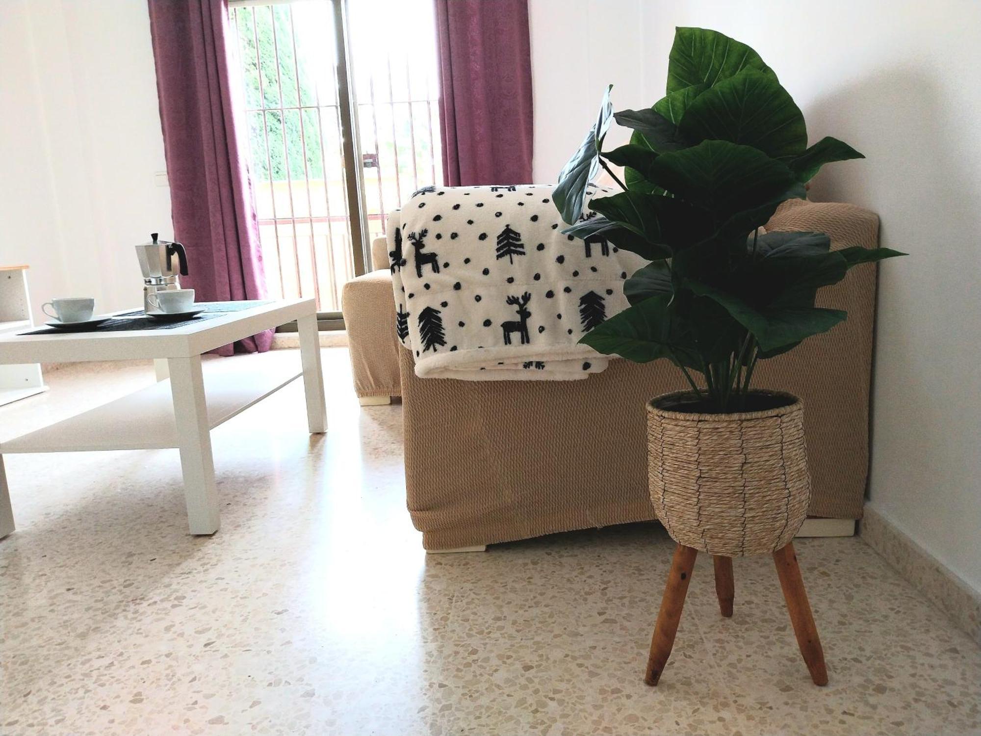 Top Suite Apartment Jerez Jardin Y Patio Jerez de la Frontera Bagian luar foto